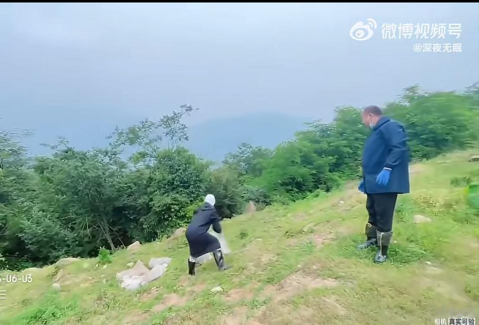 一徒步网友爆料，广州黄埔华峰寺后山有人放生大量蛇，其中还有不少剧毒蛇。该名徒步者