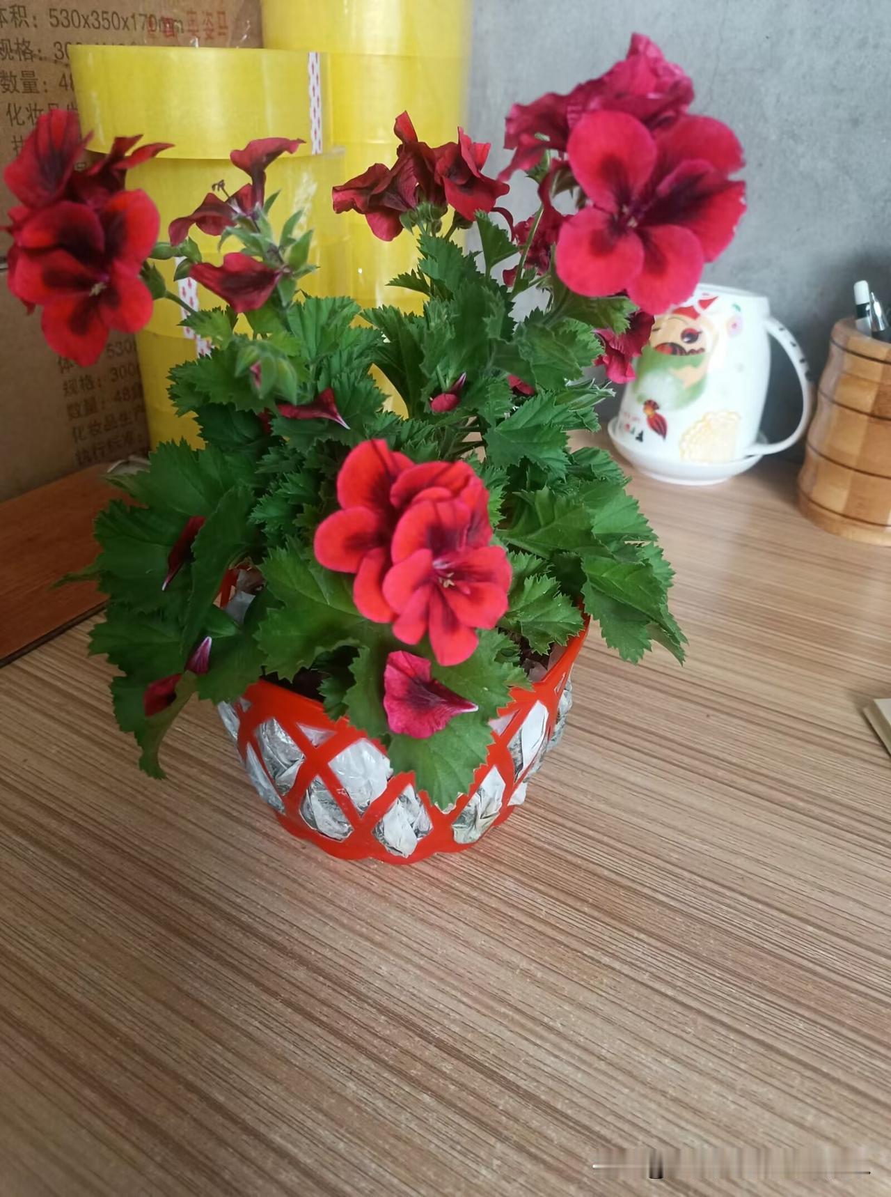 我在老家带孩子快三个月了，白天娃跟我一整天，他爸妈去上班。你说年轻人，他们不