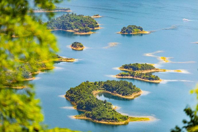 千岛湖，洞澈随清浅，皎镜无冬春。千仞写乔树，百丈见游鳞！​​​​