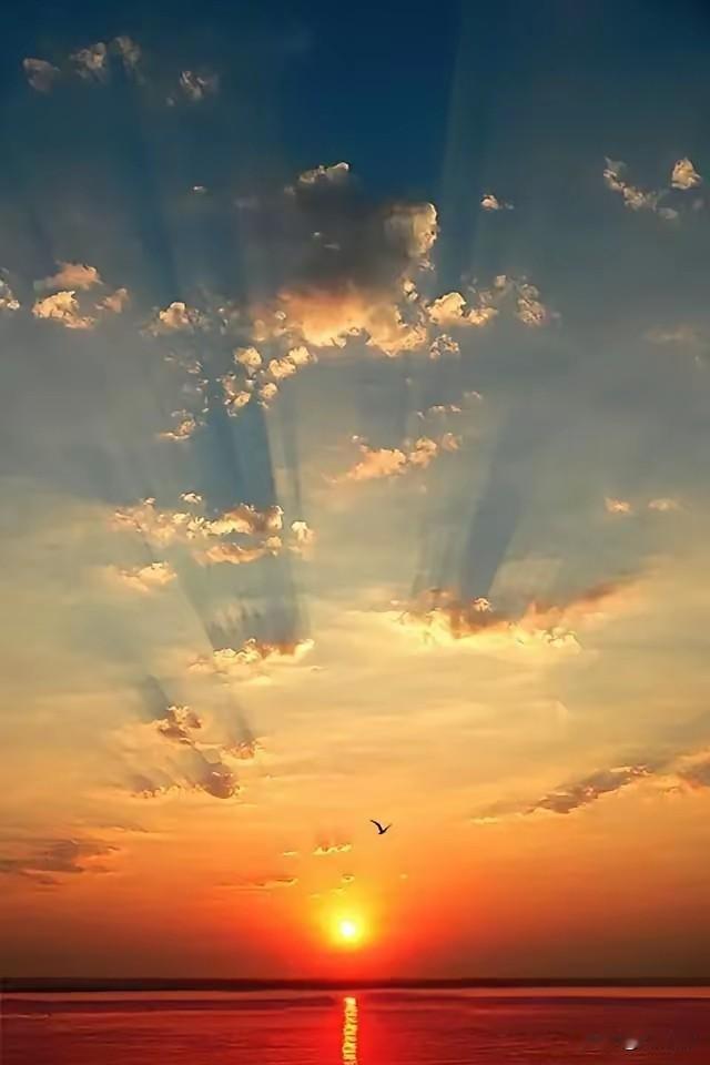 七律·直上青云蛰伏经年志未休，扶摇直上九千秋。身随大壑风雷起，影入长空星