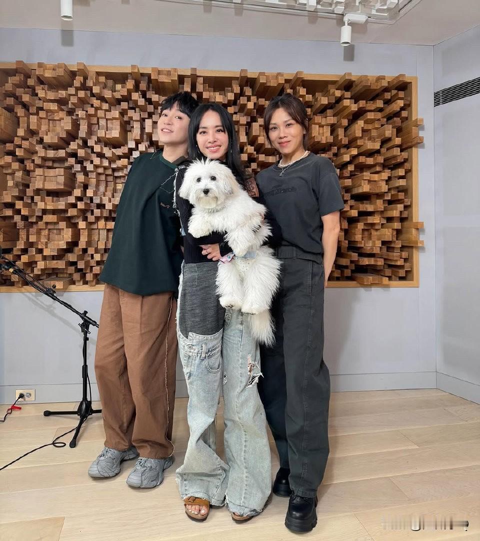 双蔡和吴青峰三人同框，我的注意力全在蔡依林的裤子上，拼接牛仔裤还拖地，像自己缝的