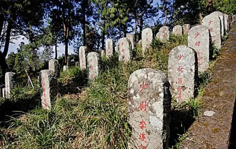 腾冲县政府第7次收到日方函件，对方提出投资3.5亿修高速换藏重康美的遗骸，日本人