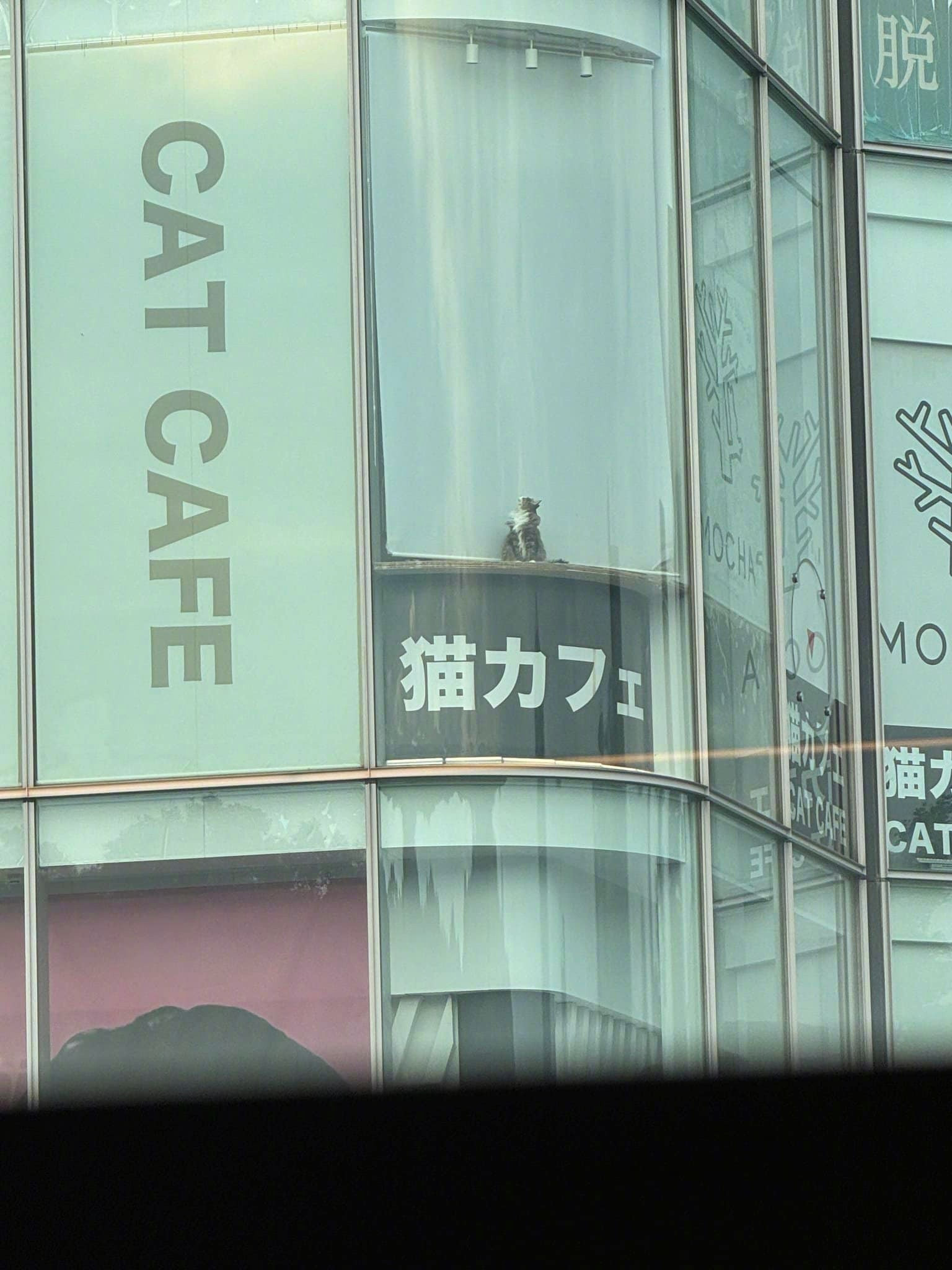 翘班中~~