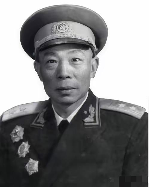 1949年，清剿湖南6万残匪的军长杨梅生路过小镇，见一乞丐老太酷似亡母，派警卫去
