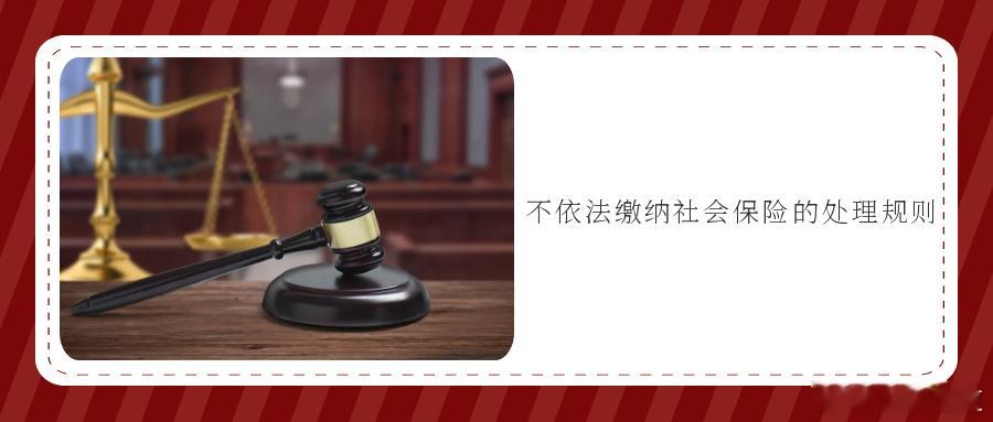 不依法缴纳社会保险的处理规则实践中,用人单位不缴纳社会保险费的原因多样,有的出于