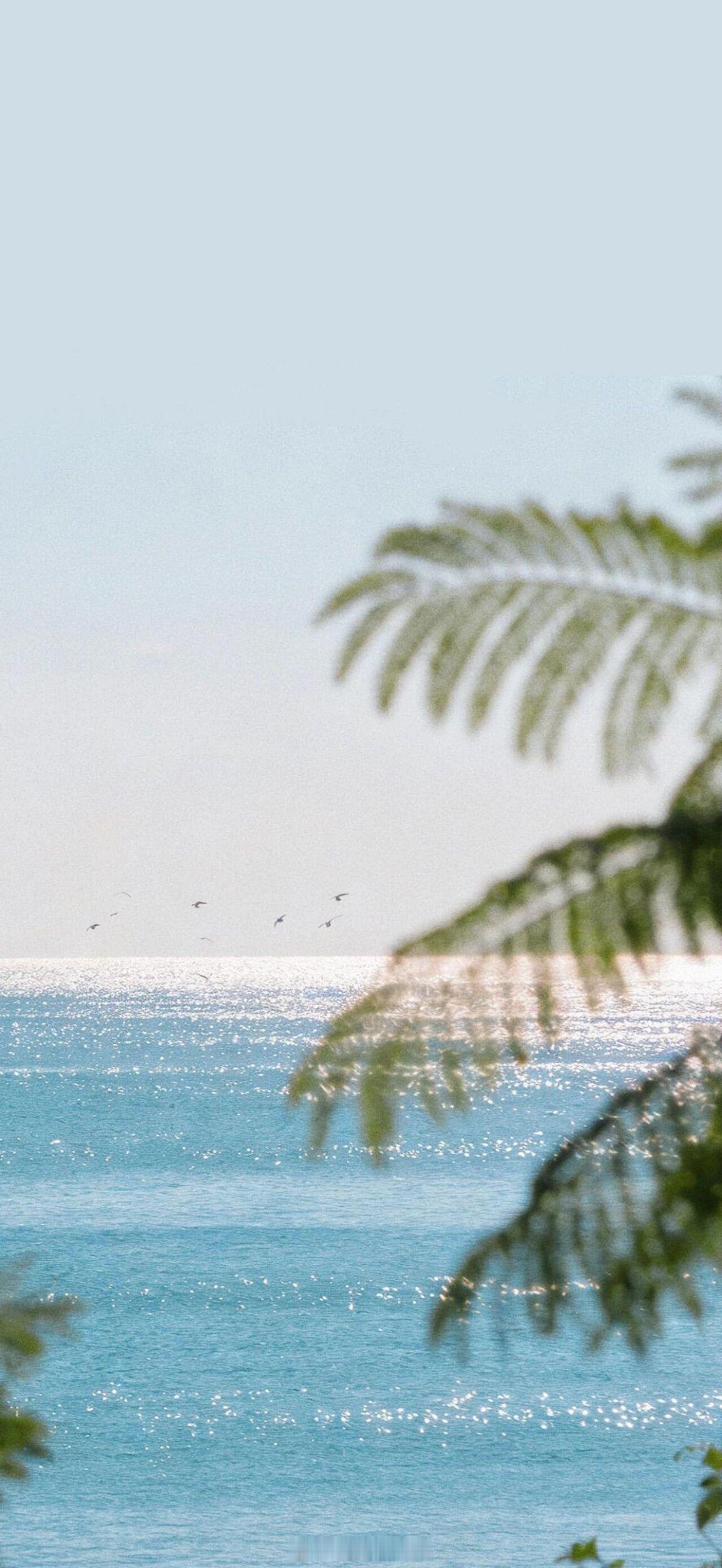 我钟意一朵花，不一定要把它摘下来我喜欢一片云，不一定要得到它我喜欢风也不一定要让