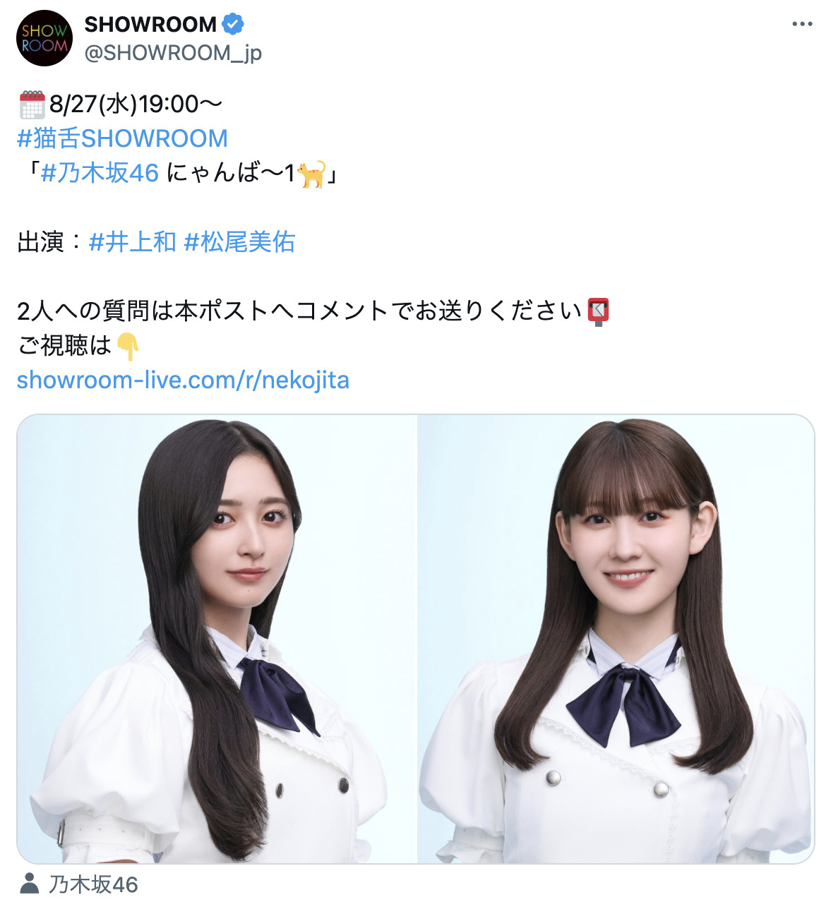 猫舌SHOWROOM​​​
