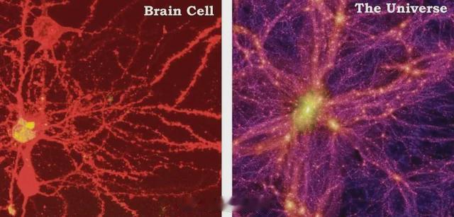 脑细胞和宇宙的对比​​​
