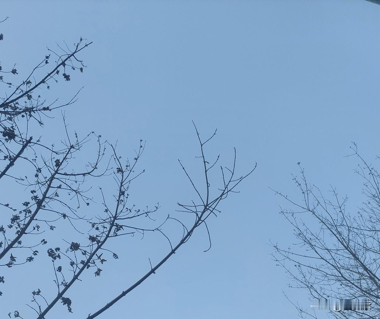 糖尿病的并发症，真的看起来太难了。今天在大柳树医院换药室看到一个烂脚指头的，