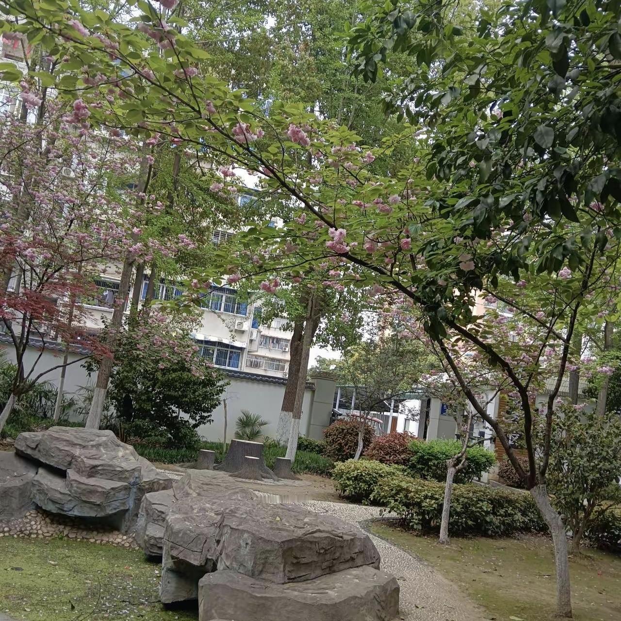 我见过最凉薄的人，就是我的堂姐。堂姐离婚后，我大娘辛辛苦苦帮她带了十三年孩子，