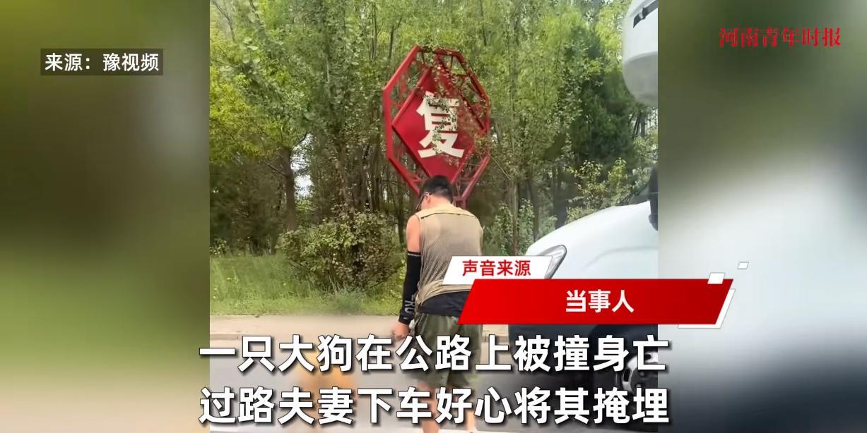 “这就是命啊！”2025年8月，内蒙古，一对夫妻在路上开车时，遇到一只狗狗被撞在