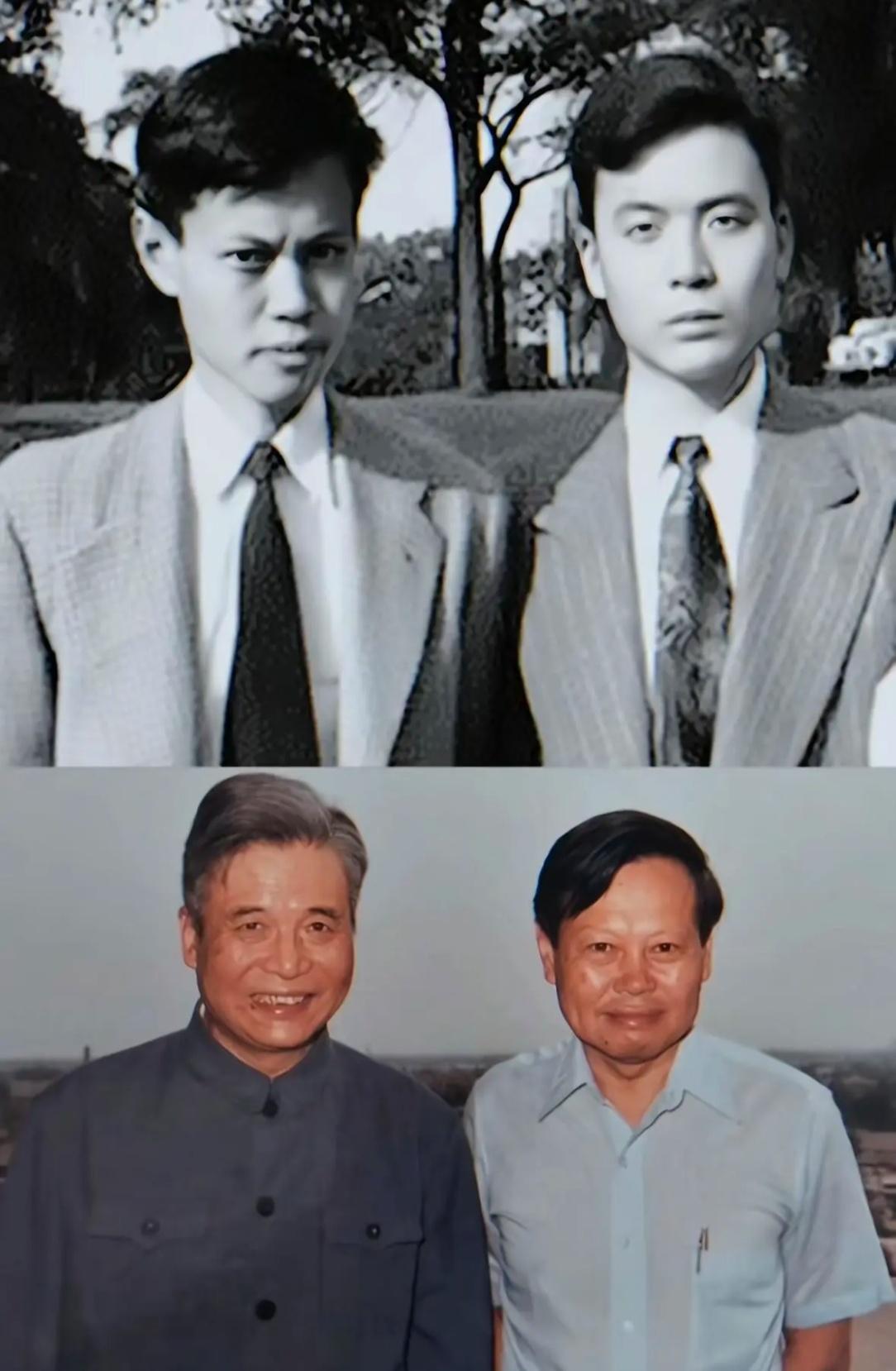 十二亿万年后，您依然是人群中最闪耀的星星伟人