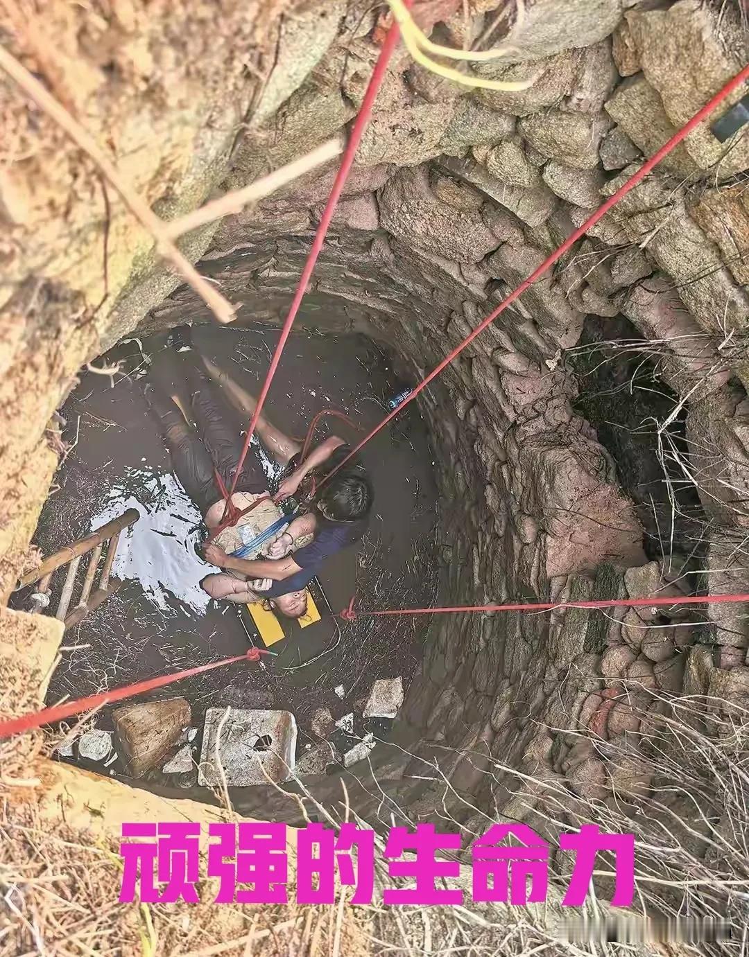泉州坠井女子“54小时噩梦”：几条蛇爬身上，双侧肋骨骨折！绝望时靠一个信念坚持活