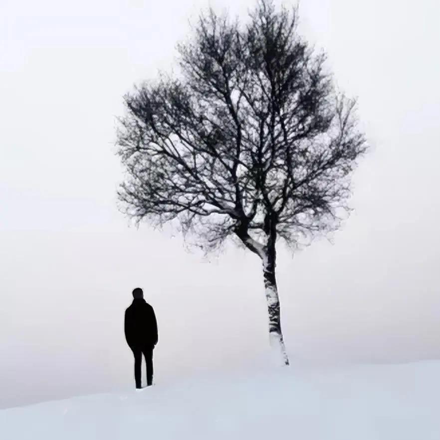 大哲学家说：“死亡是根本不存在的，死亡只是一个假象，怎么说呢，因为我们活着的时候