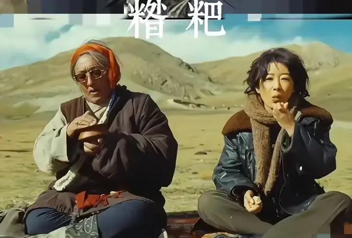 央视一套刚播完的《生命树》最后一集，白菊在雪山哨所前把氧气瓶递给多吉，自己转身就