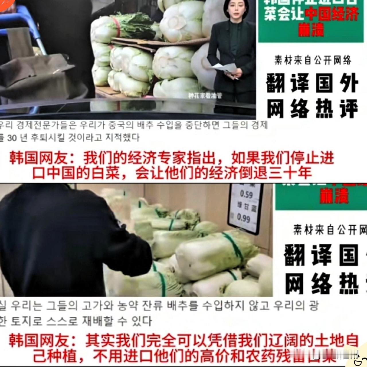一韩国网友说，停买山东白菜，中国经济就得倒退30年？这话说得比韩剧还敢编，简直让