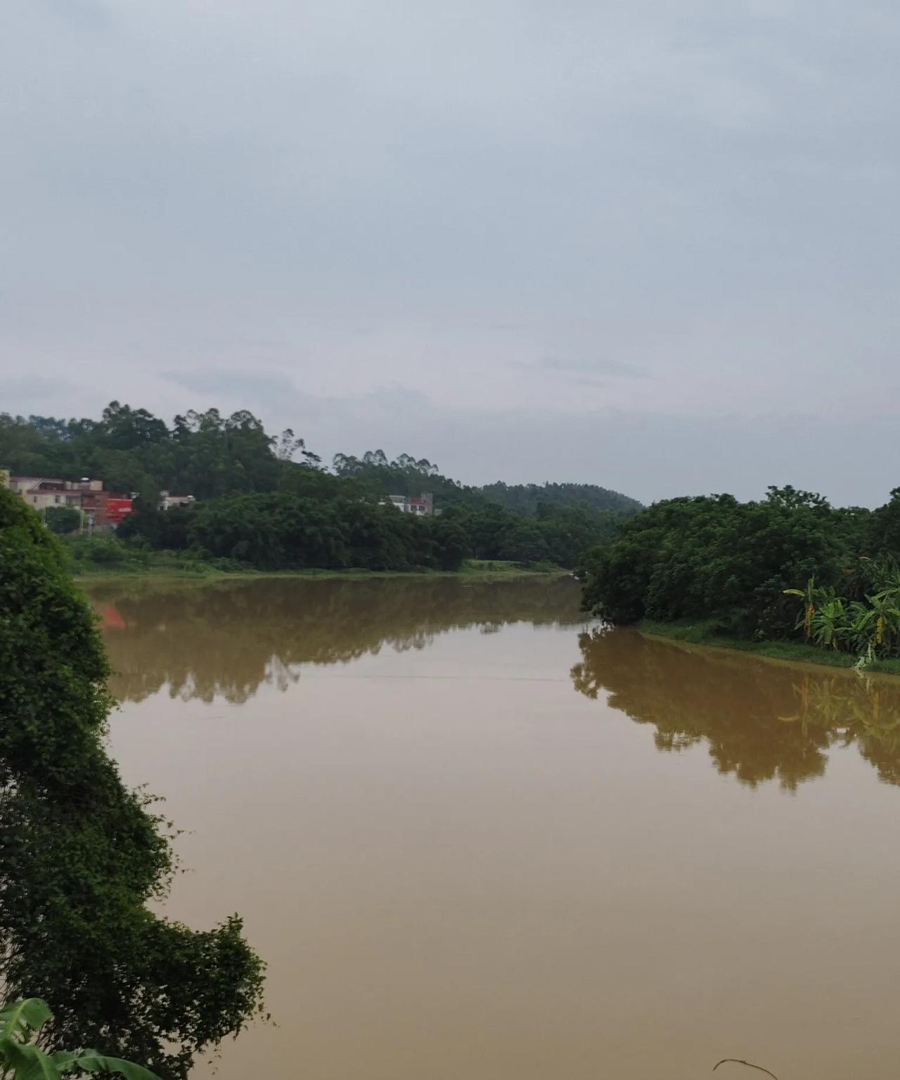 这是典型的东南亚河流，地势平坦，水流缓慢，河水浑浊，泥沙厚重，两边都是高大翠绿的