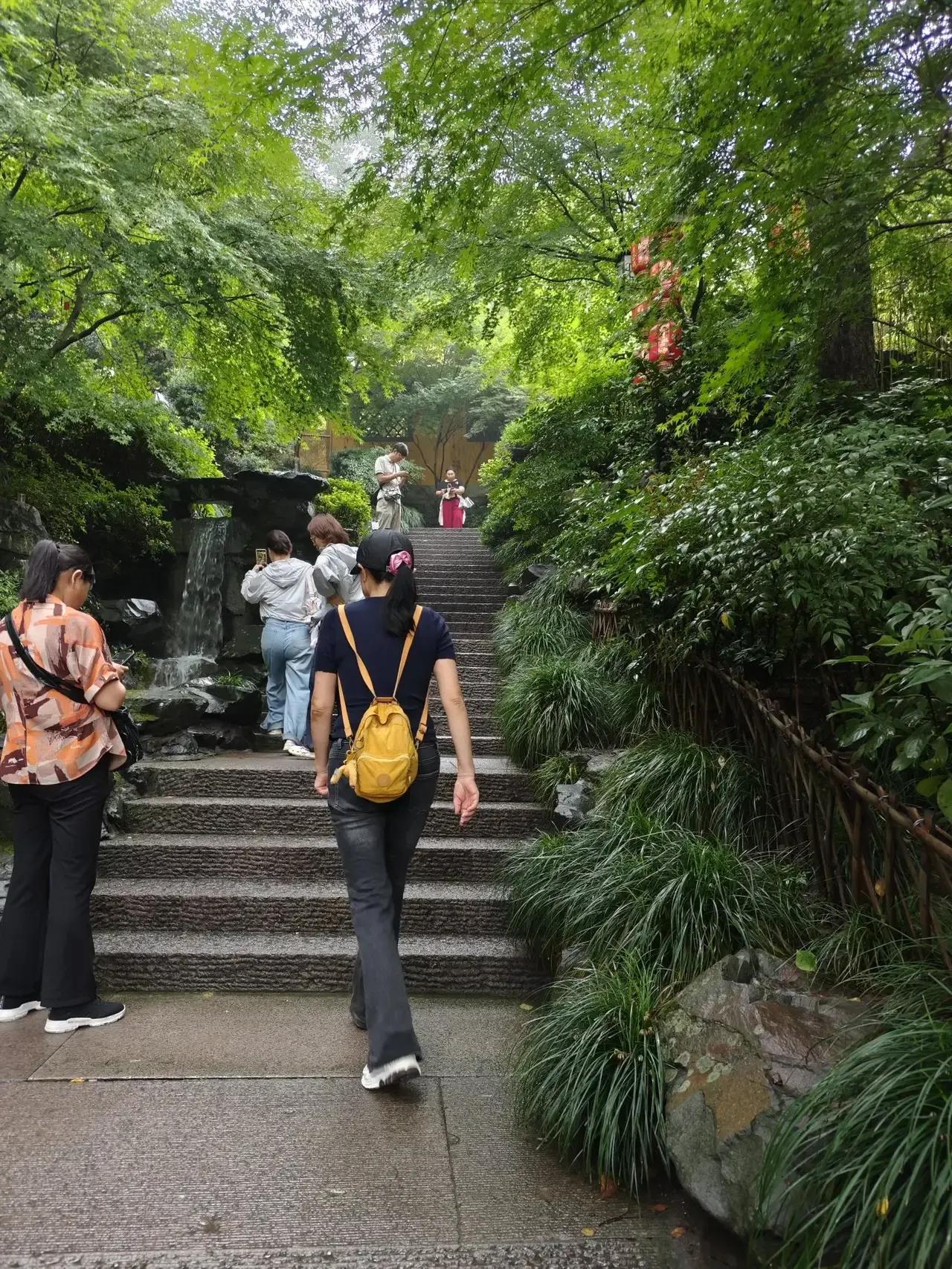 杭州西湖的雨荷比晴荷多了一份诗意与温婉，它藏在绿叶间静悄悄地开放，曼妙又羞涩，清