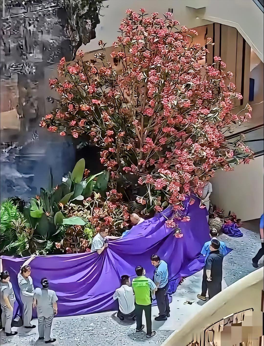 谁把西安”利合公司”老板严鹏逼上了绝路？7月1日，六十多岁的严鹏在西安赛格