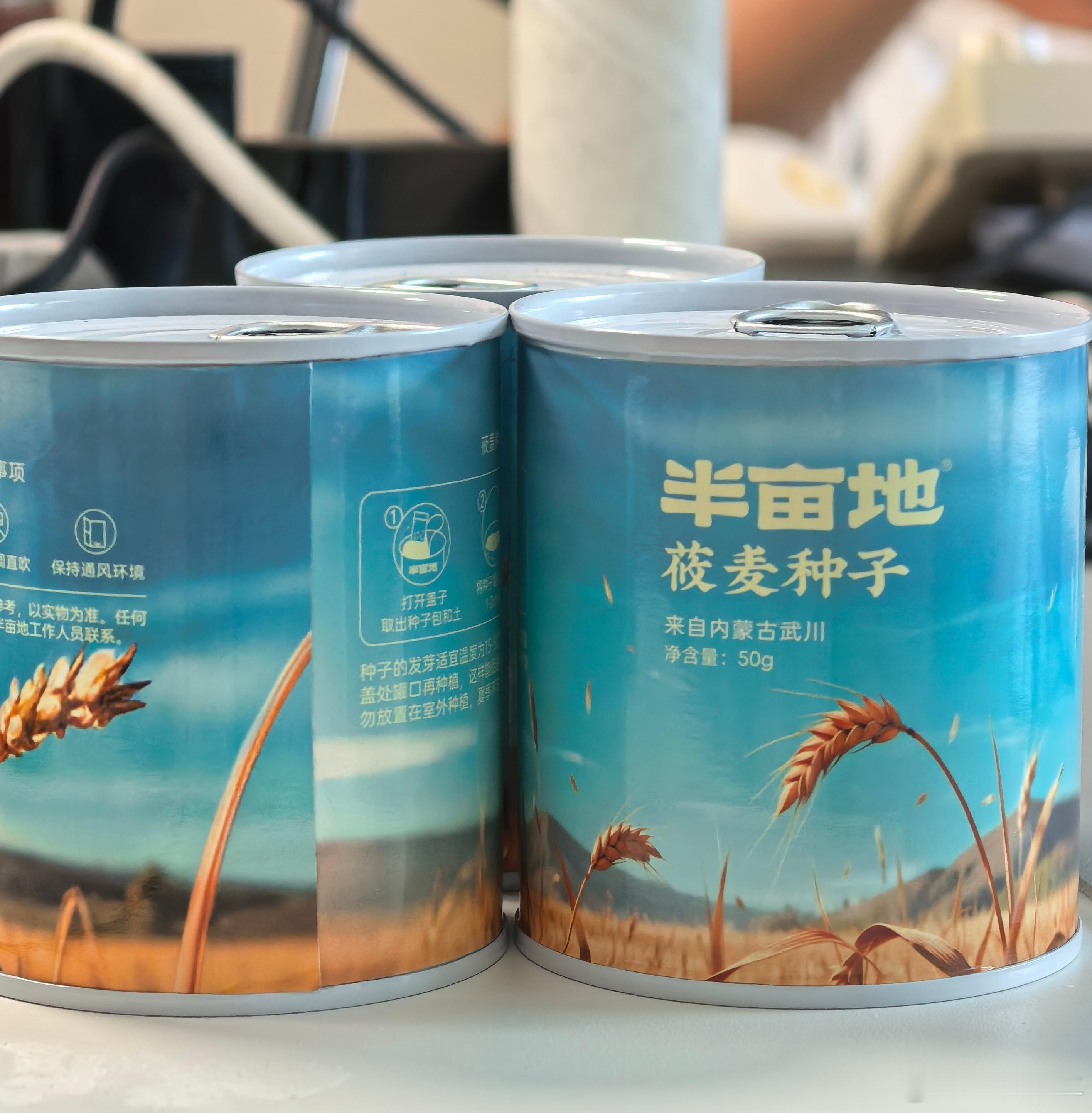 从内蒙古带来的莜麦种子，一到公司就种下了，现在发芽了！​​​