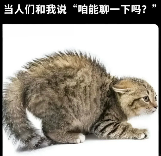 咋了​​​