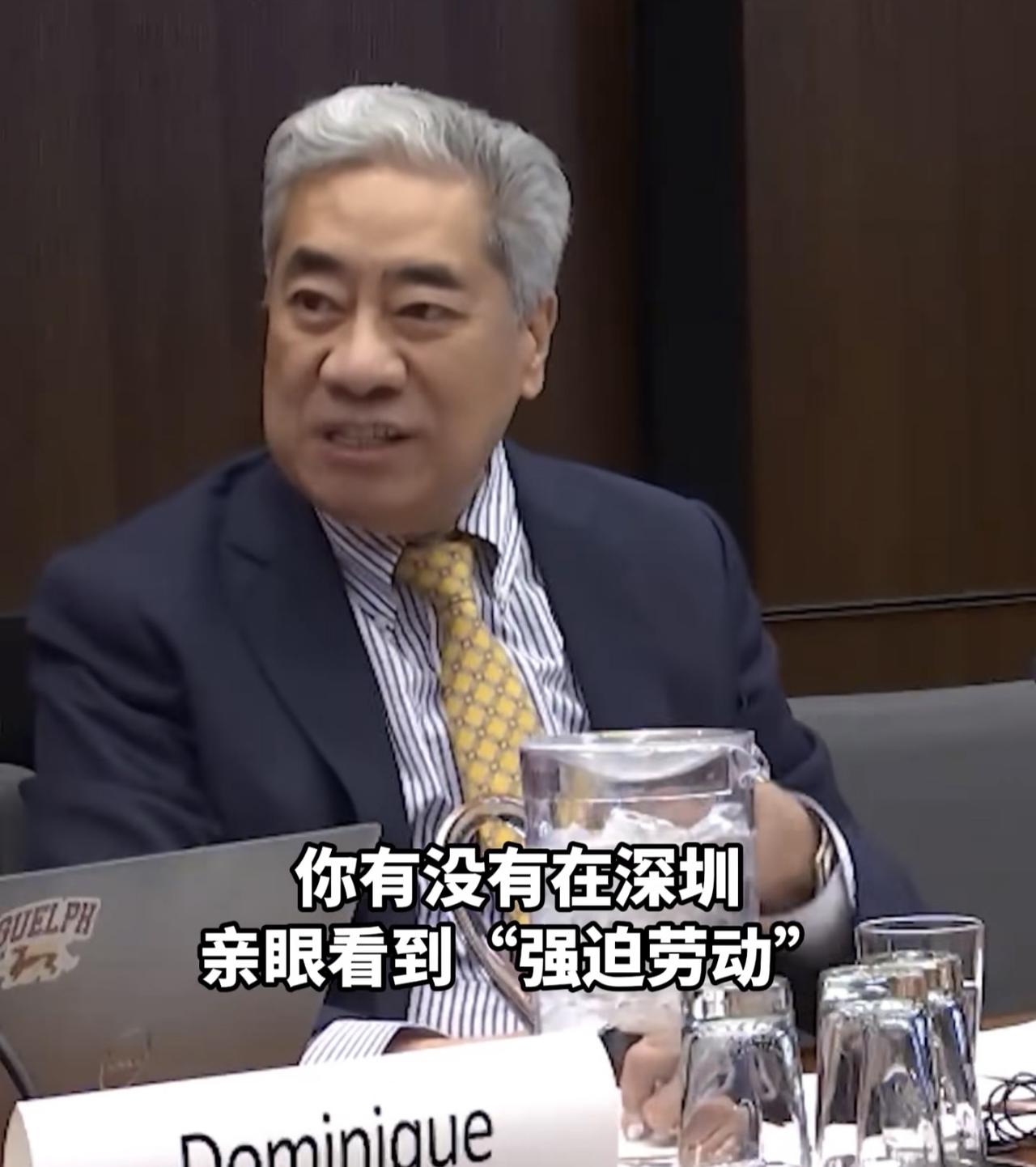 这位议员帮我们夺回了面子，而且他其实也是华人，生在香港，祖籍广州。现在这些外国