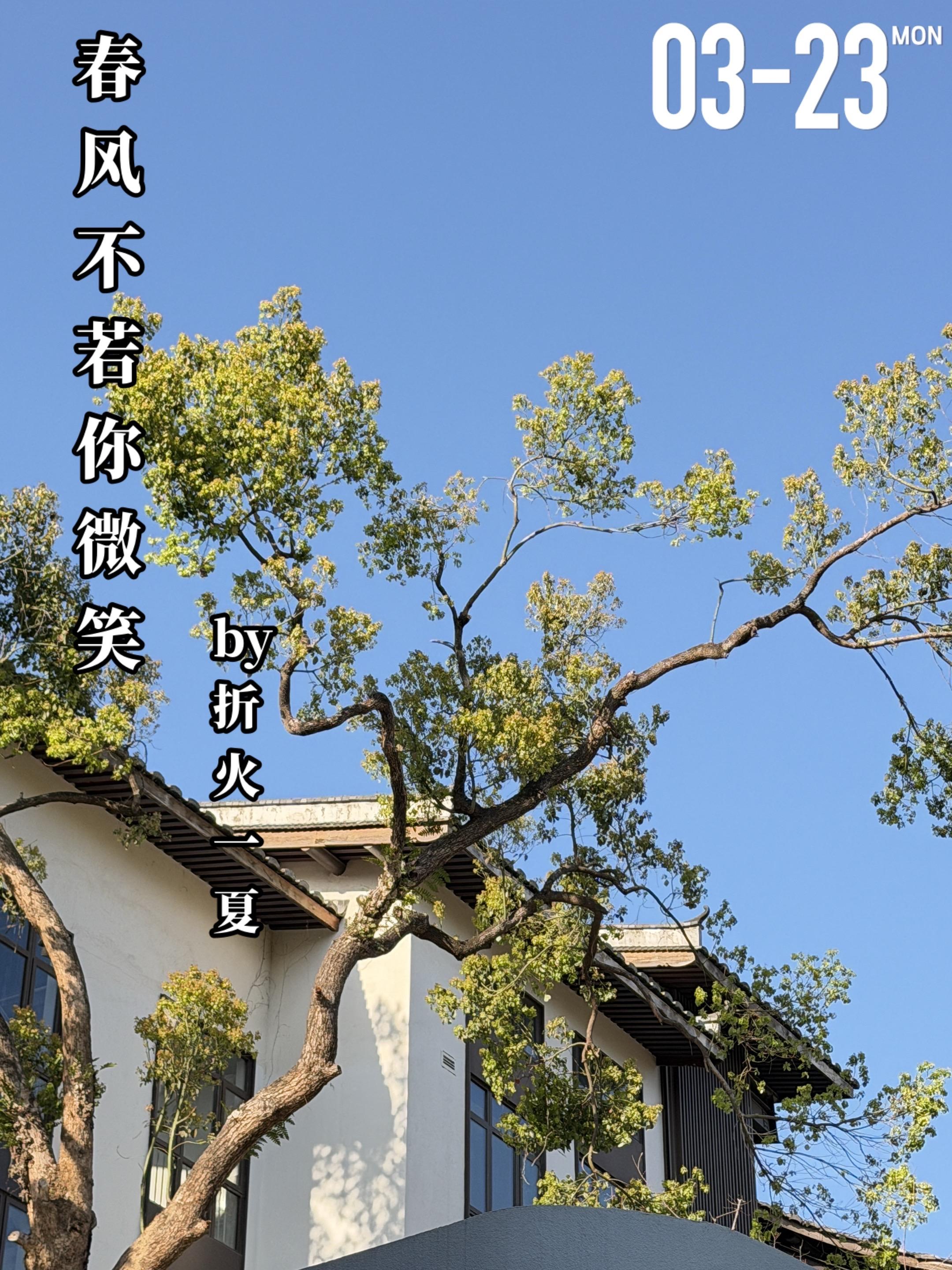 《春风不若你微笑》by折火一夏。十年前，杜绾（女主）在西部山区，忍受着...