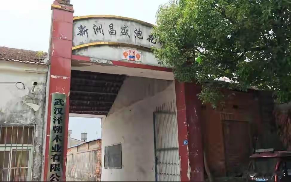 一个500多人的村庄，却有60多人患上了绝症，而这一数字还是官方的数字。面对举