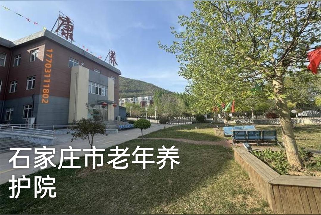 参观完三星级和五星级养老院后，惊呆了，事关每一位中老年人！最近