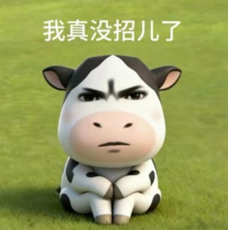 套牢过年，我真没招儿了~