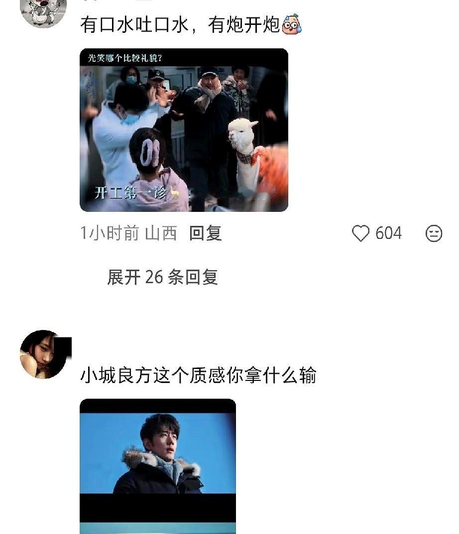谁能想到，顶流男星的新剧人设，竟然是被羊驼吐口水、被医闹怼脸。肖战新剧《小城