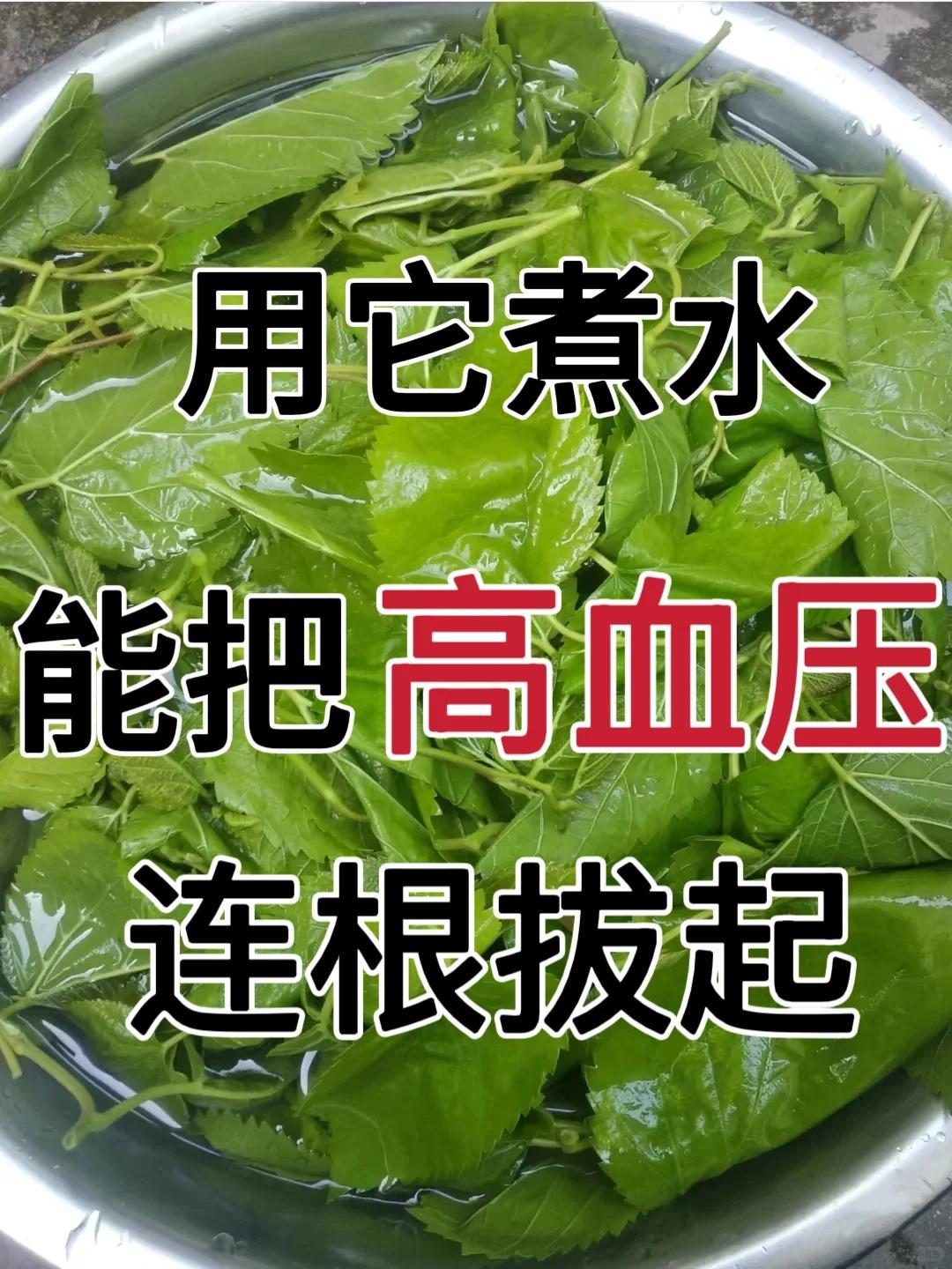 用它煮水，能把高血压，连根拔起黄芪在中医典籍中被誉为“补气诸药之最”，性温，