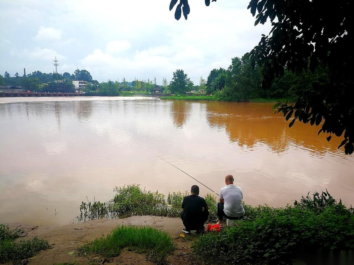 刷到我爸妈的朋友圈，我承认，有时候真的会笑出声。但笑着笑着，又有点想哭。那些