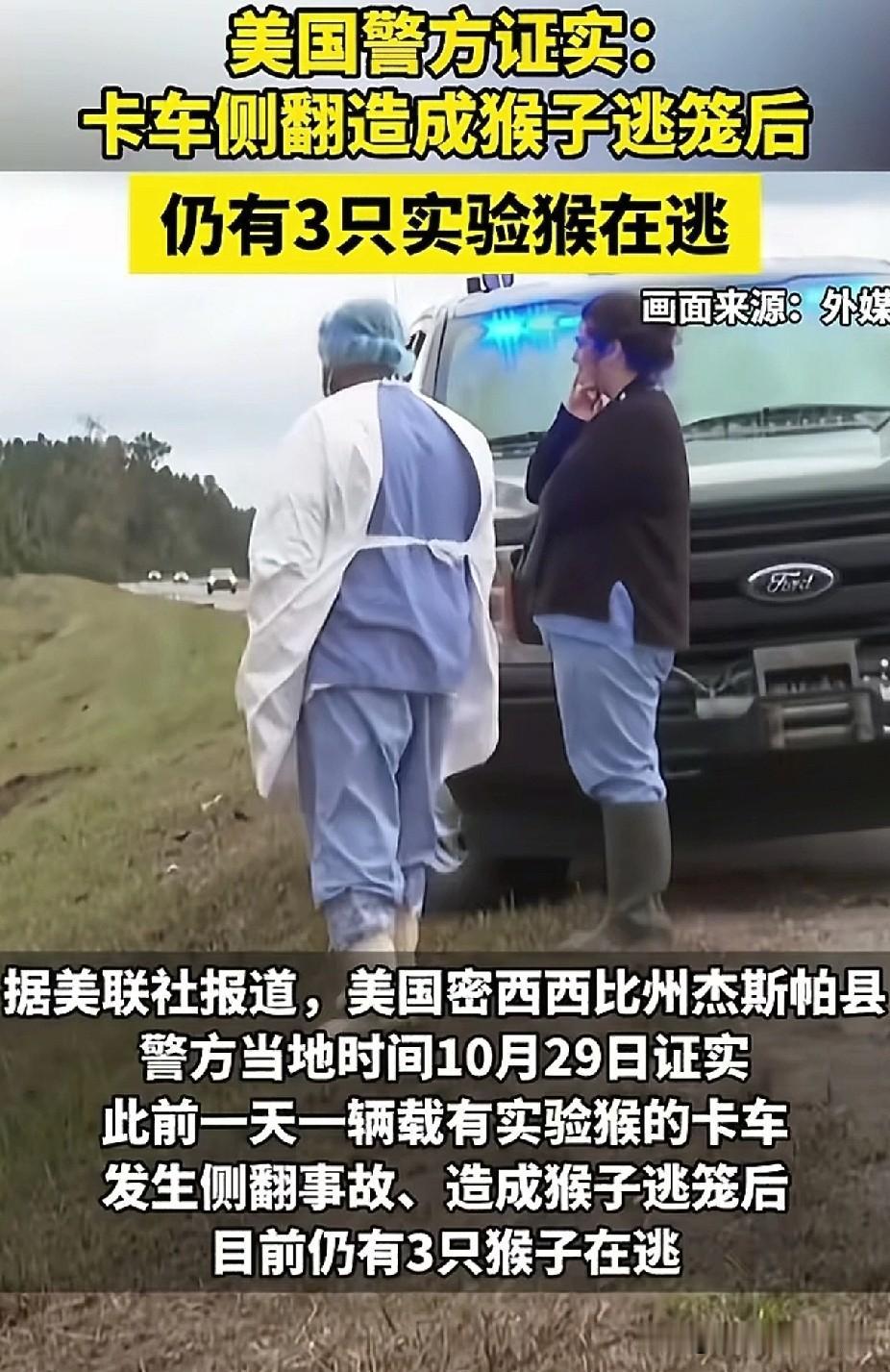 紧急扩散!美国三只实验猴在逃,民众被警告:看见千万别靠近!专家警告这些猴子可能