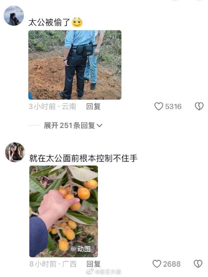 每年清明节都要笑死在评论区🤣