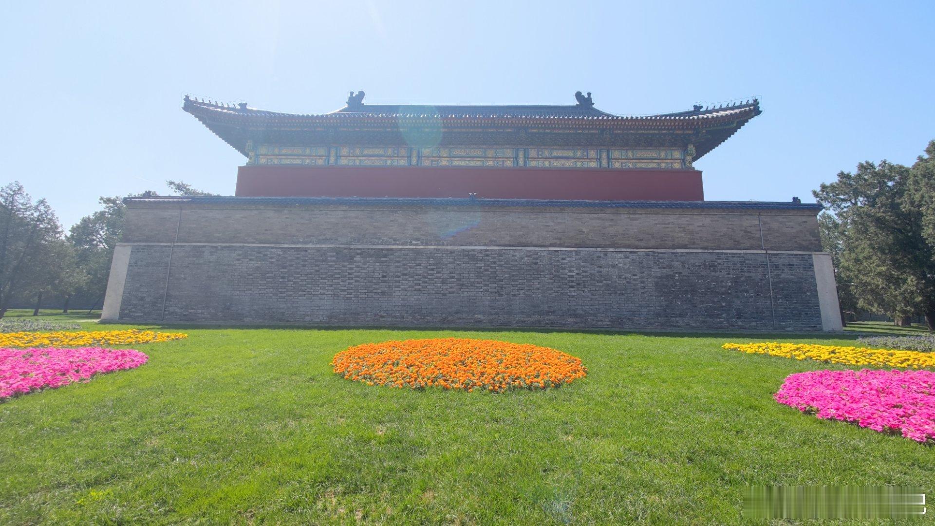 北京天坛公园的春花北京初夏绿意撞进眼眸摄影​​​