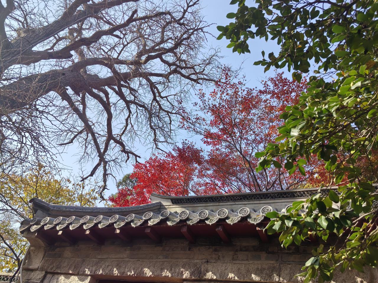 终于知道为什么有的人无论和谁相处都会让人觉得很舒服。那是因为他们做到了这两件事: