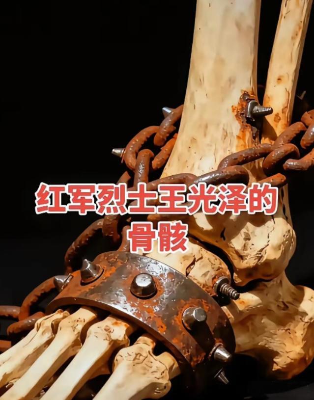 向红军烈士致敬，看着就心痛[哭哭]