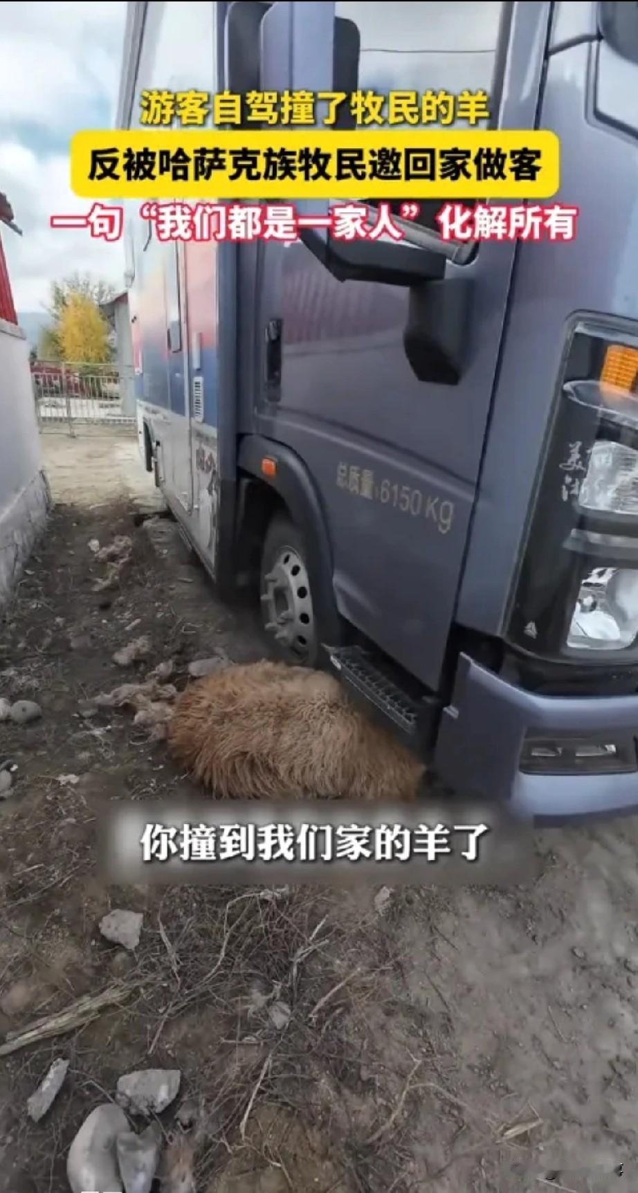 新疆牧民暖心事上央视:游客撞羊反获热情款待10月23日消息,新疆阿勒泰一名