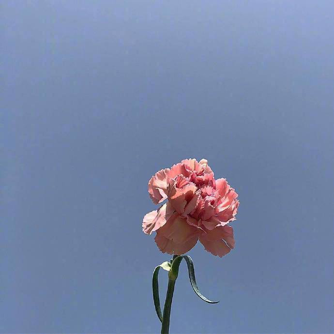 人性最大的恶就是：恨你有，笑你无，嫌你穷，怕你富。——胡适​​​​