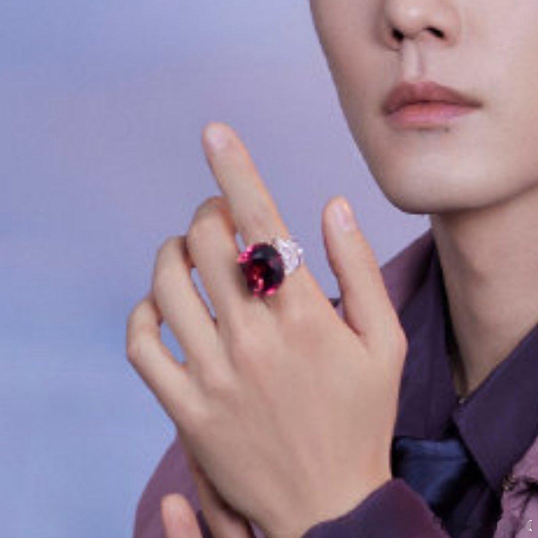 我勒个豆！我只看见肖战手上戴了好大一颗宝诗龙戒指