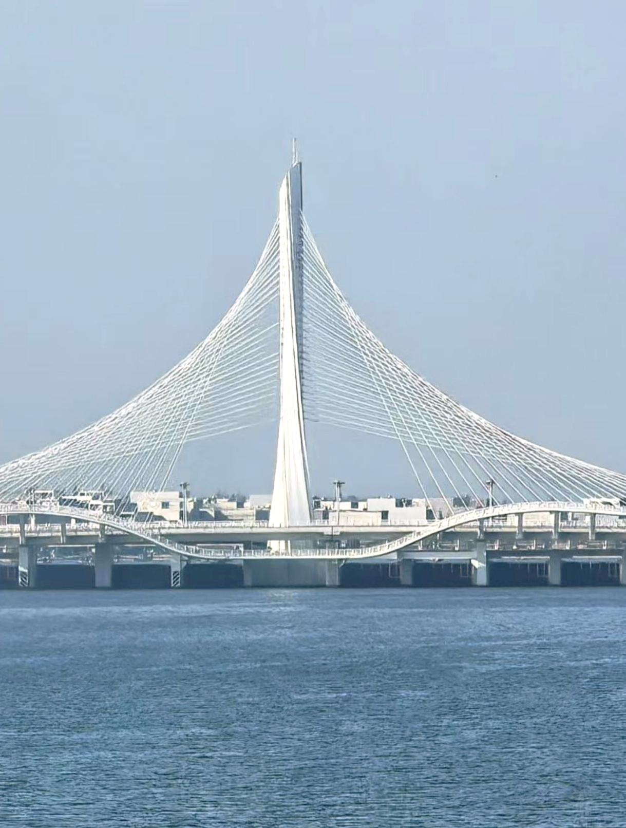 朋友圈看到了真正的扭纹柴在海南的海花岛上，再看看广州塔，以前征名的时候，老广州人