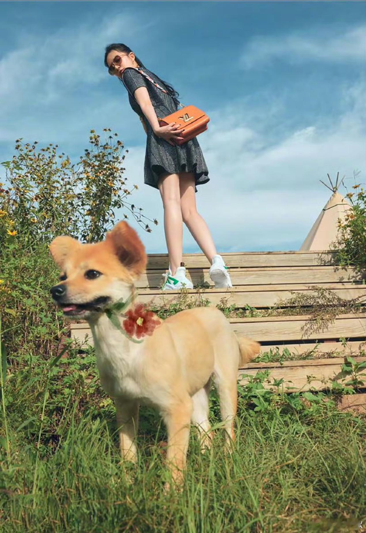 “小花”名字由来？​​​
