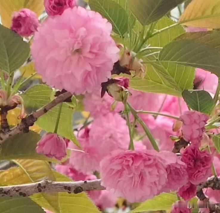 我赢了吵架，却输掉了她结婚十五年，我和她之间，早就没什么话讲了。那天又为