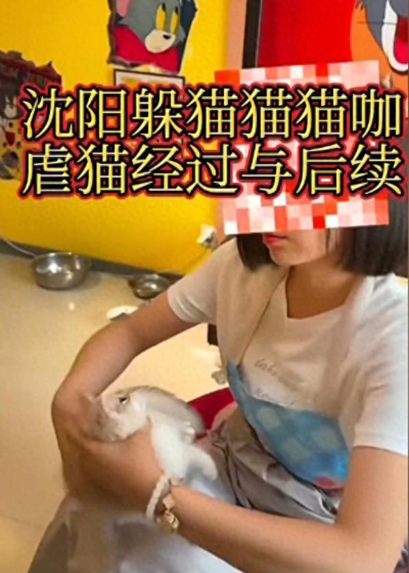 女子在猫咖店虐猫，导致4只奶猫死亡，店长发现后火速报警，女子给出的理由轻飘飘：心