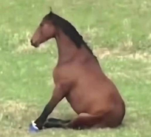 上班前一天下午我就这么坐在床上​​​