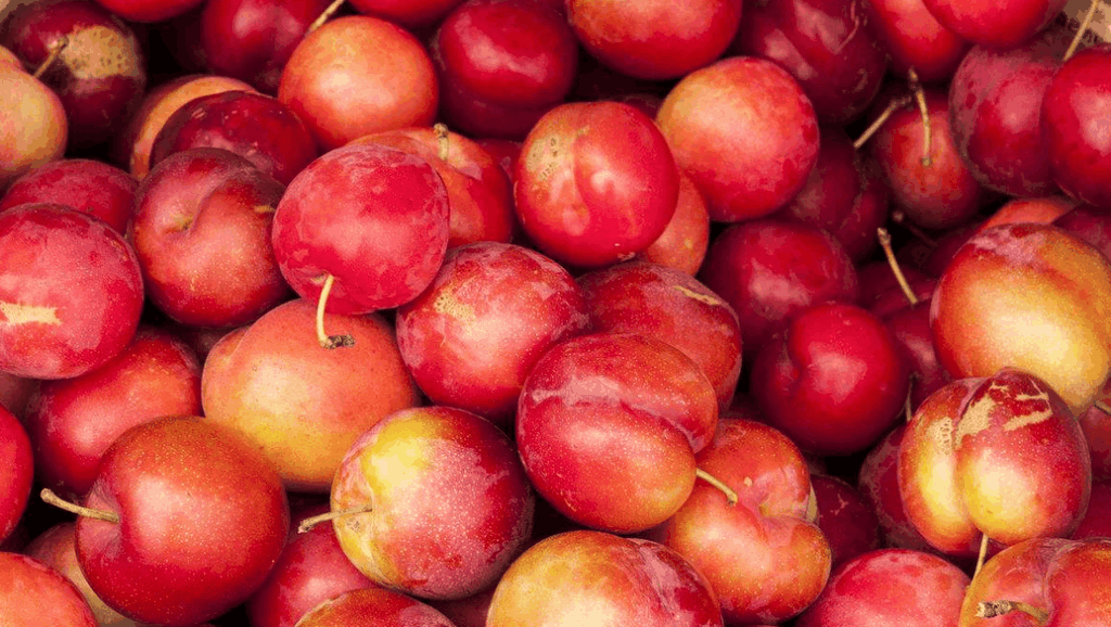 为什么有人喜欢吃生花椒 15480415721274402594.jpg?id=0