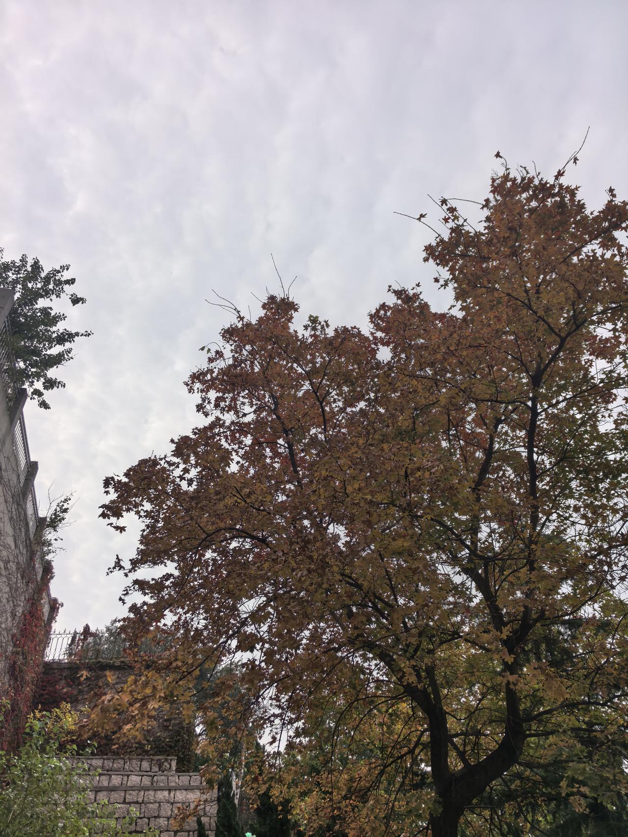 台海演习失效，谍影重重！1996年台海演习时，因为大陆高级间谍泄密，万恶的李登