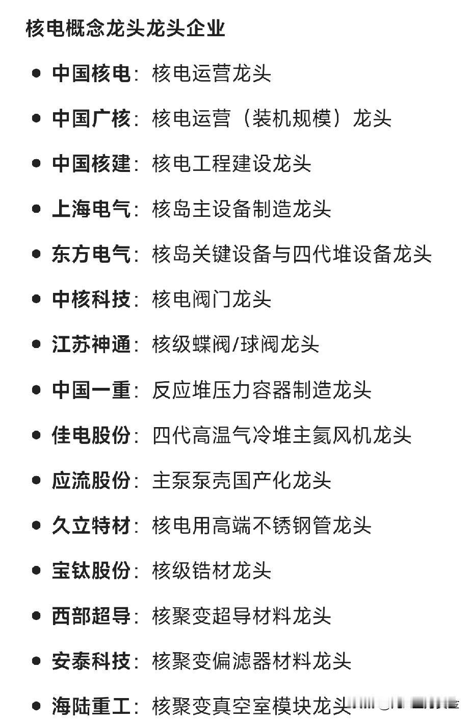 核电概念龙头企业中国核电：核电运营龙头中国广核：核电运营（装机规模）龙头