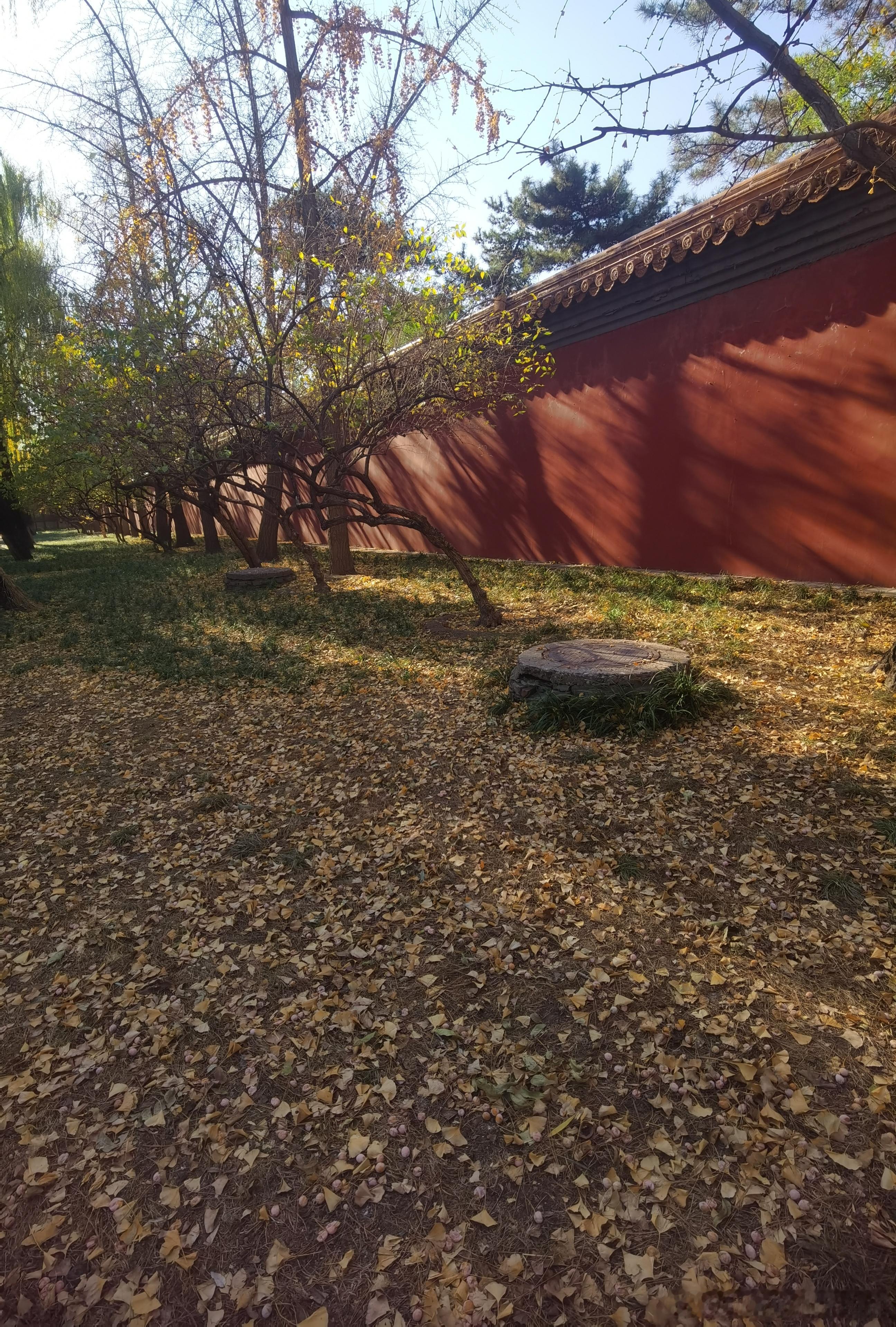 初冬的北京景山  摄影